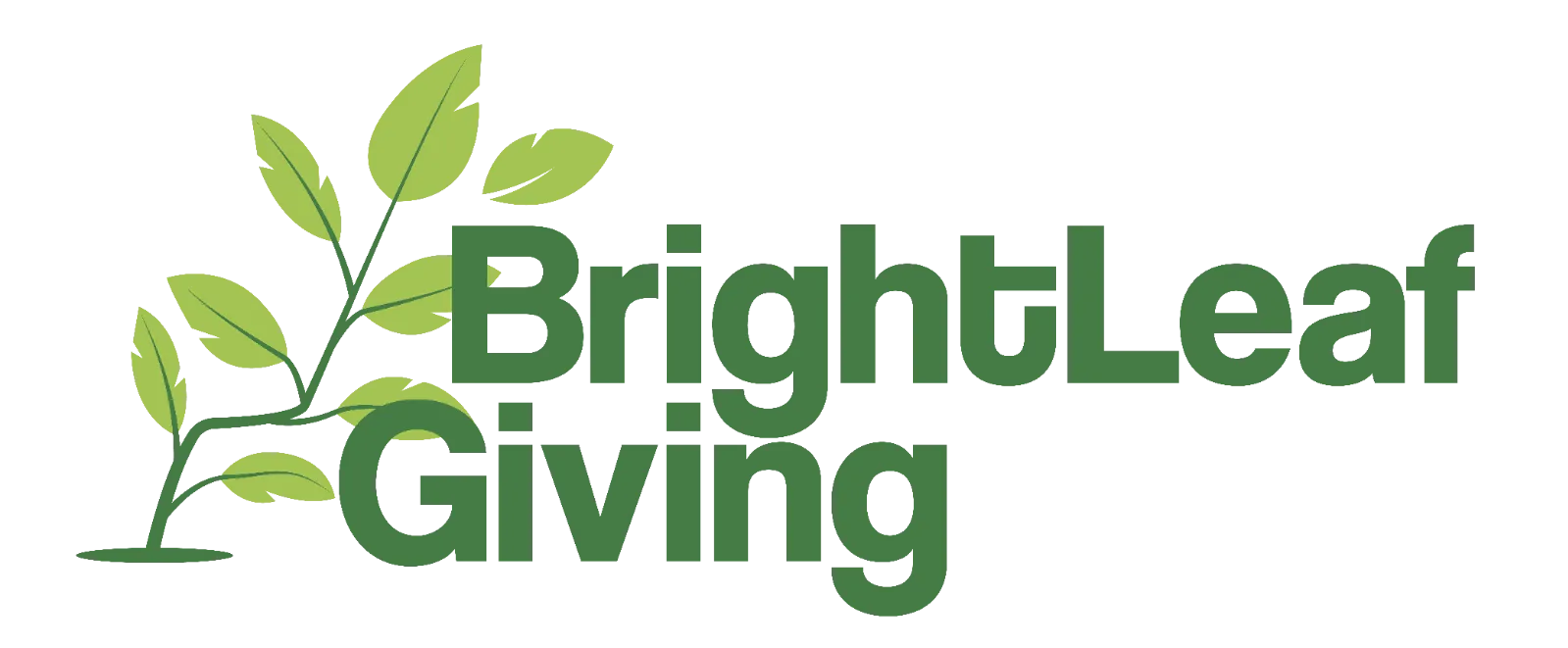 brightleaf