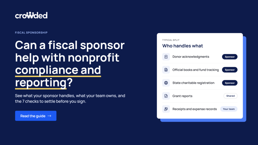 fiscal sponsor compliance